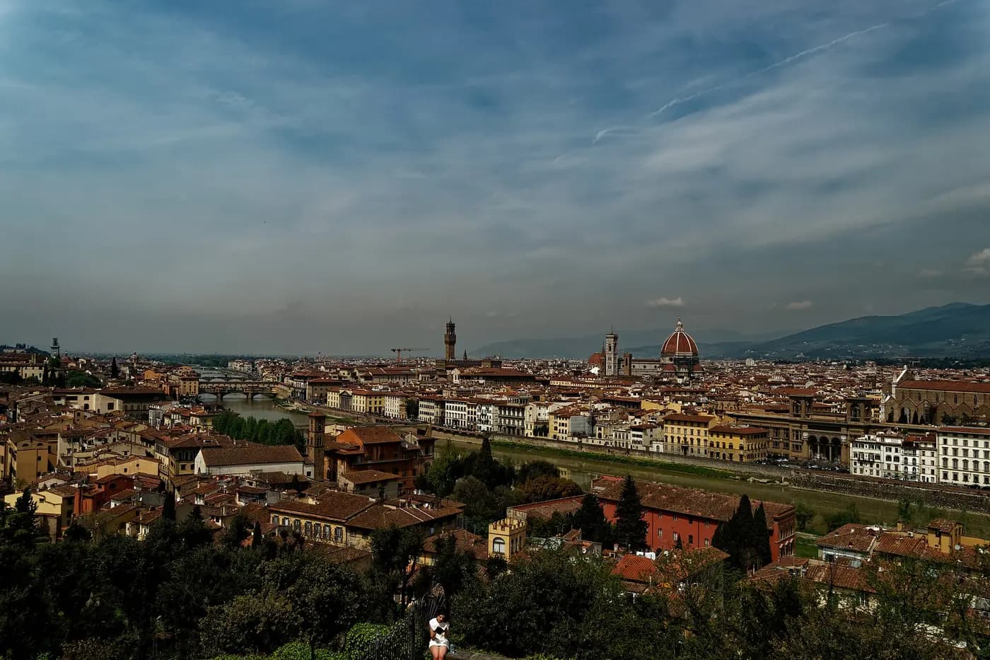 Florence skyline with Ponte Vecchio, Palazzo Vecchio and the Duomo