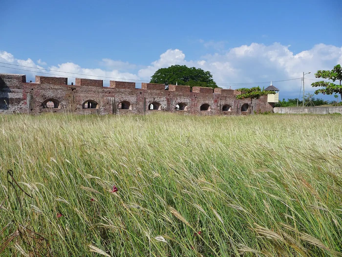The brick ramparts and gun ports of Fort Charles at Port Royal, behind long grass