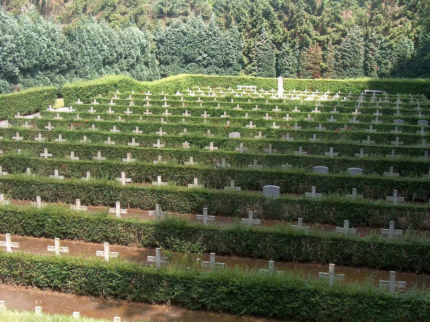 Rows of crosses and hedges in the Enclos des Fusillés at Schaerbeek, Brussels