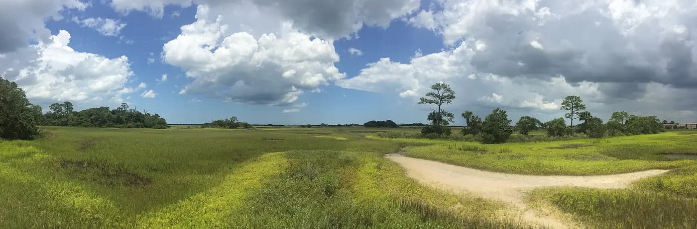 Salt marsh and grassland at Fort Mose Historic State Park, site of the free Black town near St. Augustine