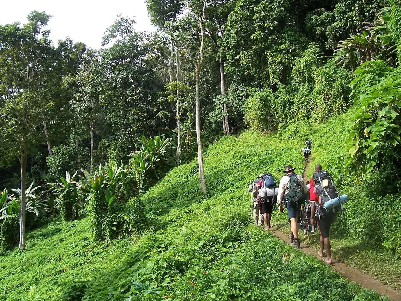 A walker on the Kokoda Track crossing open fields between Kokoda and Isurava in Papua New Guinea