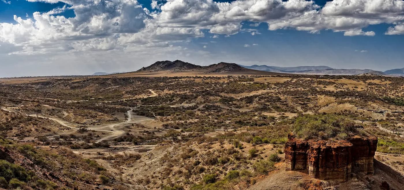 The layered walls and floor of Olduvai Gorge, seen from the museum on its rim