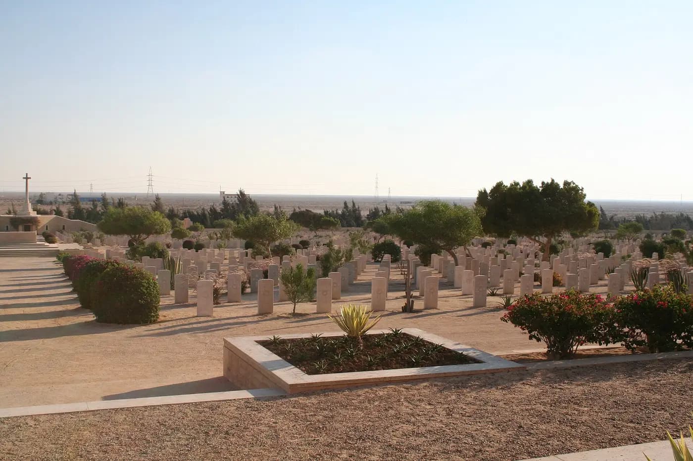 Rows of white headstones in the Commonwealth war cemetery at El Alamein, Egypt
