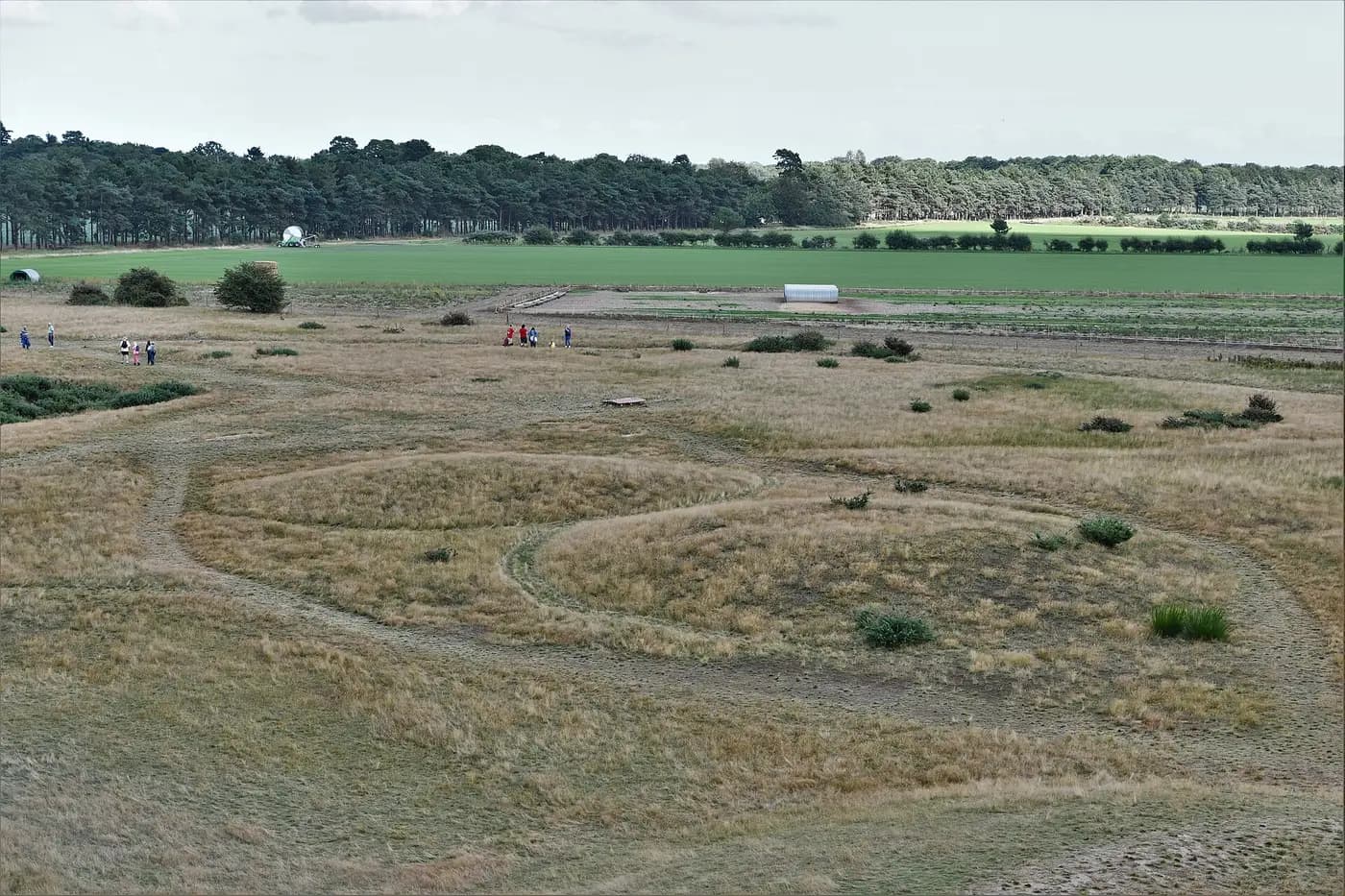 Low grassy burial mounds of the Anglo-Saxon royal cemetery at Sutton Hoo, with woodland beyond
