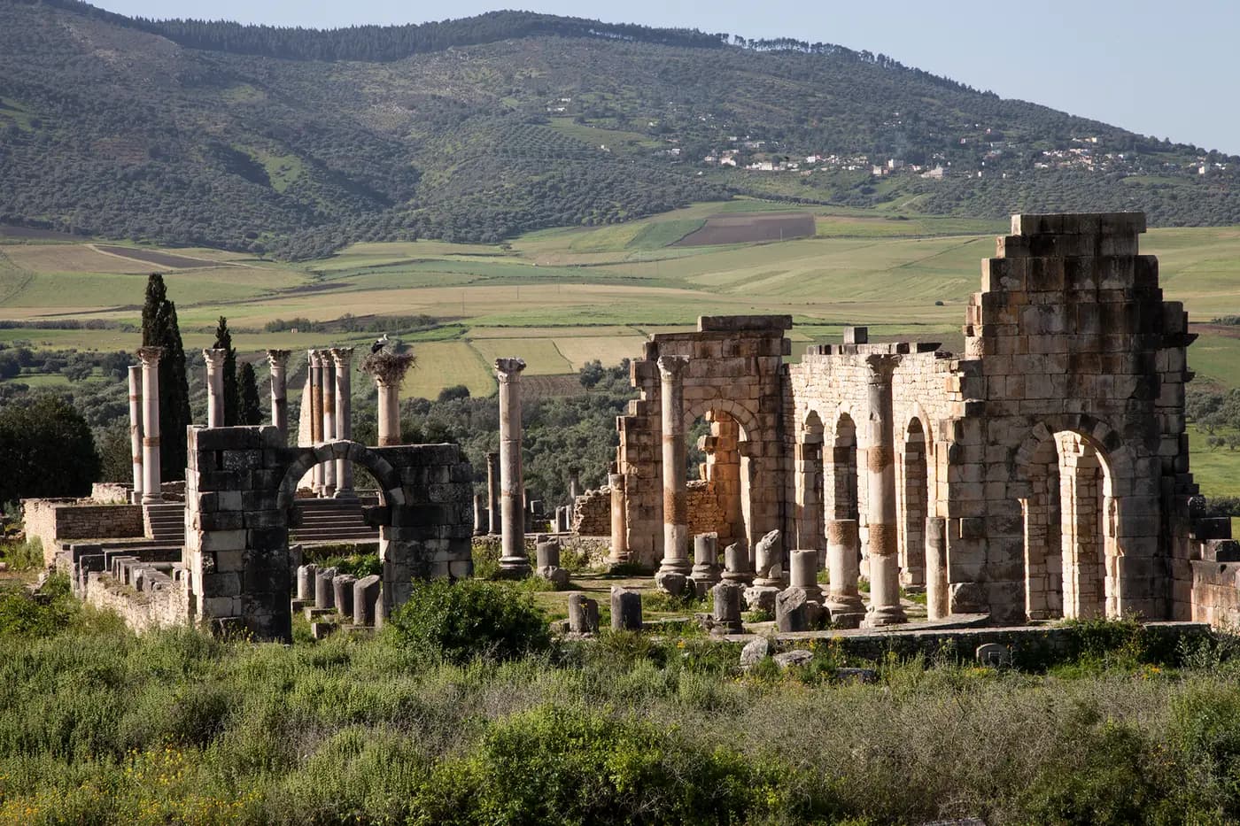 Roman ruins of Volubilis below the green hills of Zerhoun, near the town of Moulay Idriss