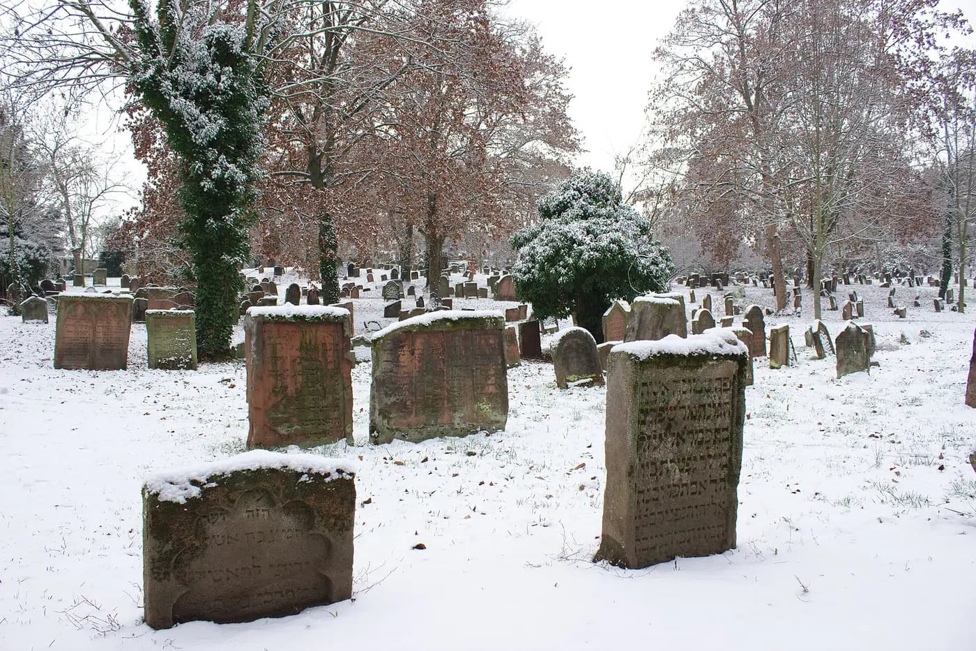 Weathered medieval gravestones in the snow at the Heiliger Sand Jewish cemetery in Worms