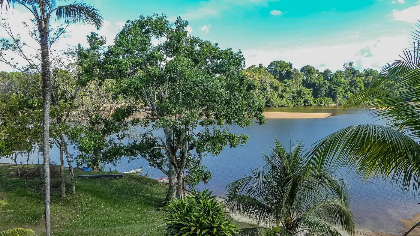 The Upper Suriname River and its forested banks, seen from the Saamaka village of Gunsi